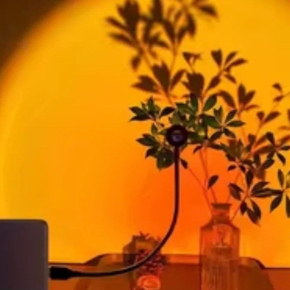 DUSK casting a sunset glow on a wall behind a vase