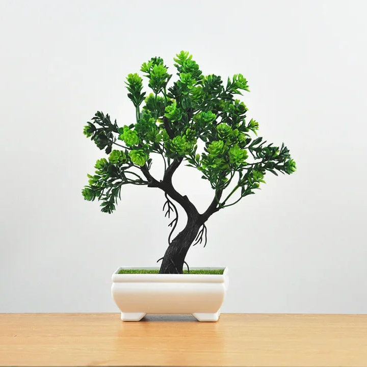 ZEN bonsai on a desk