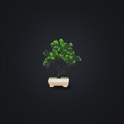 ZEN mini faux bonsai