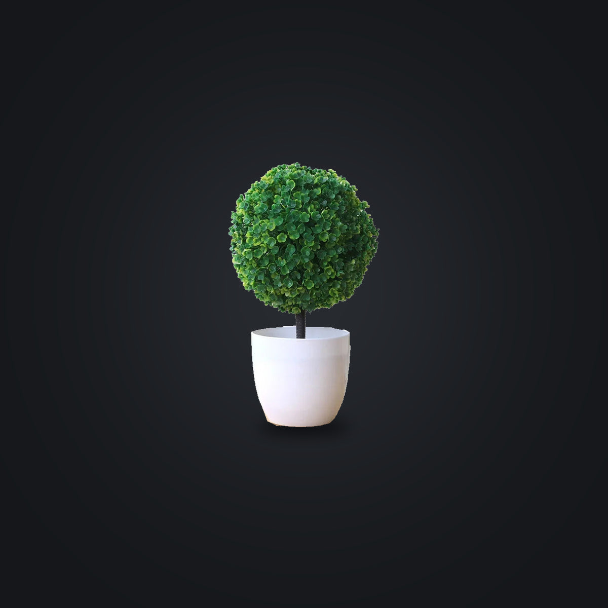 ZEN round tree